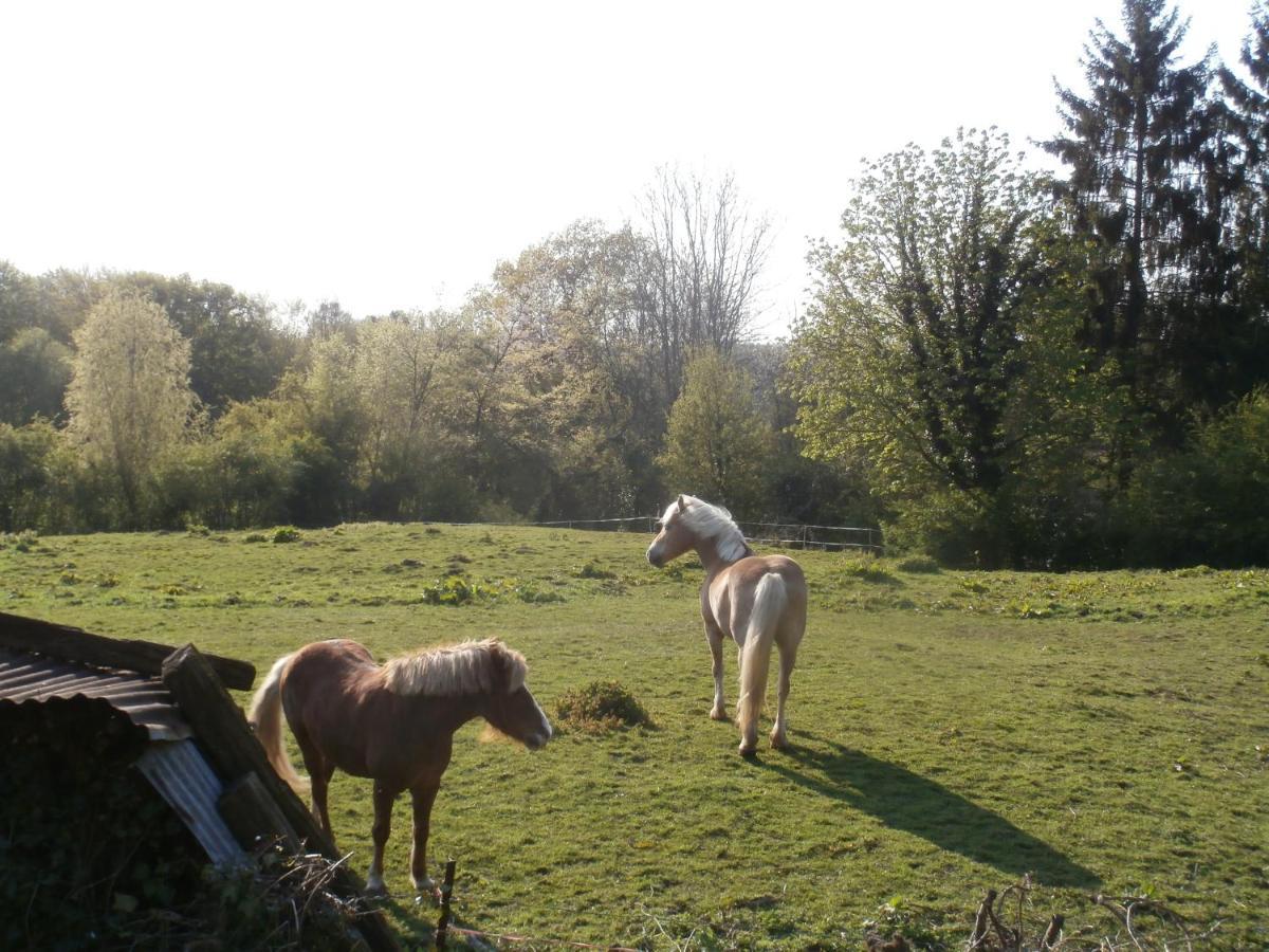 Chambre D'Hotes L'Ermite Saint-Algis Exteriér fotografie